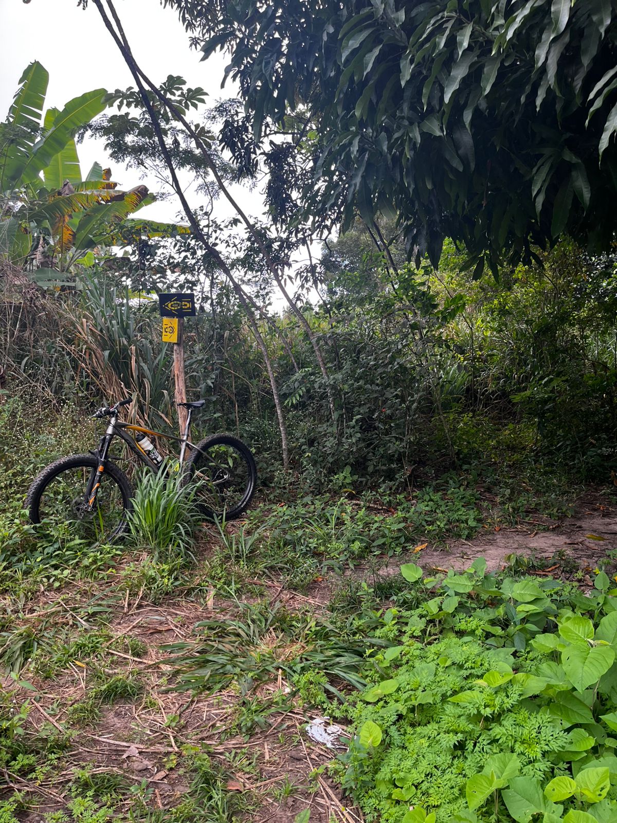 Trilha na Serra da Ibiapaba
